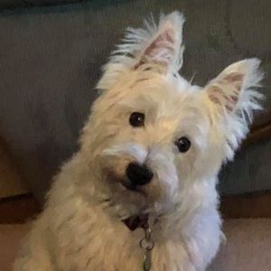 Meet your Posher, Marybeth